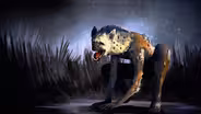 Werehyena: The Terrifying Shapeshifters of African Lore