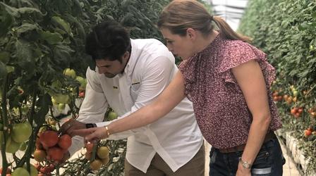 Video thumbnail: Pati's Mexican Table A Day in Sinaloa's Countryside