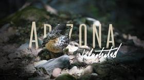 Video thumbnail: Arizona Illustrated June 23, 2019