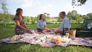 The Perfect Picnic