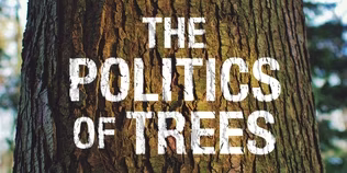 The Politics of Trees: The Battle Between Canopy and Concrete