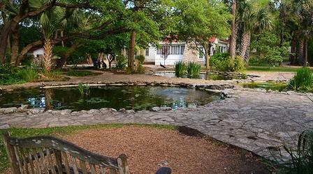 Video thumbnail: Central Texas Gardener Propagate Succulents + Story of Mayfield Park
