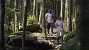 Hiking at Mount Mitchell State Park