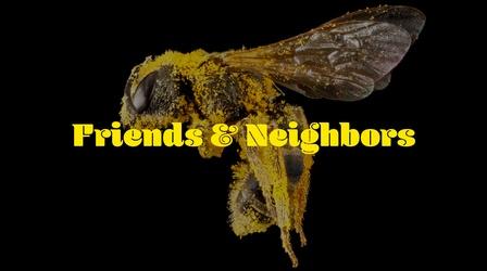 Video thumbnail: Friends & Neighbors Friends & Neighbors | Episode 302