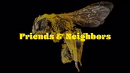 Friends & Neighbors | Episode 302