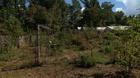 Video thumbnail: Volunteer Gardener Volunteer Gardener 3021