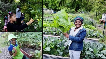 Video thumbnail: Virginia Home Grown Williams City Farm