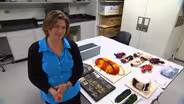 Science Museum of Minnesota: Ethnology Collection
