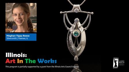 Video thumbnail: Illinois: Art in the Works Meghan Tippy Reese