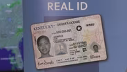 Driver's License Bill