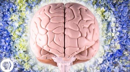 Video thumbnail: BrainCraft The Neuroscience of Creativity