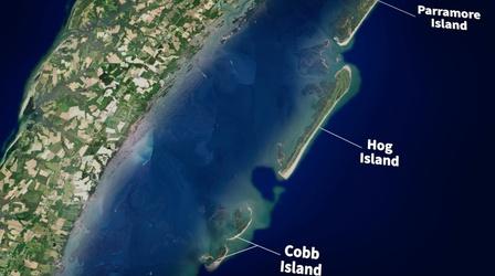 Video thumbnail: Local, USA Against the Current: Life on the Eastern Shore | Barrier Islands
