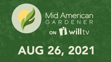 Video thumbnail: Mid-American Gardener August 26, 2021 - Mid-American Gardener
