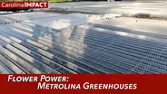 Flower Power: Metrolina Greenhouses | Carolina Impact