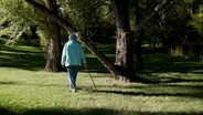 Seniors practice forest bathing for better mental health