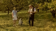 The Orchard Walls