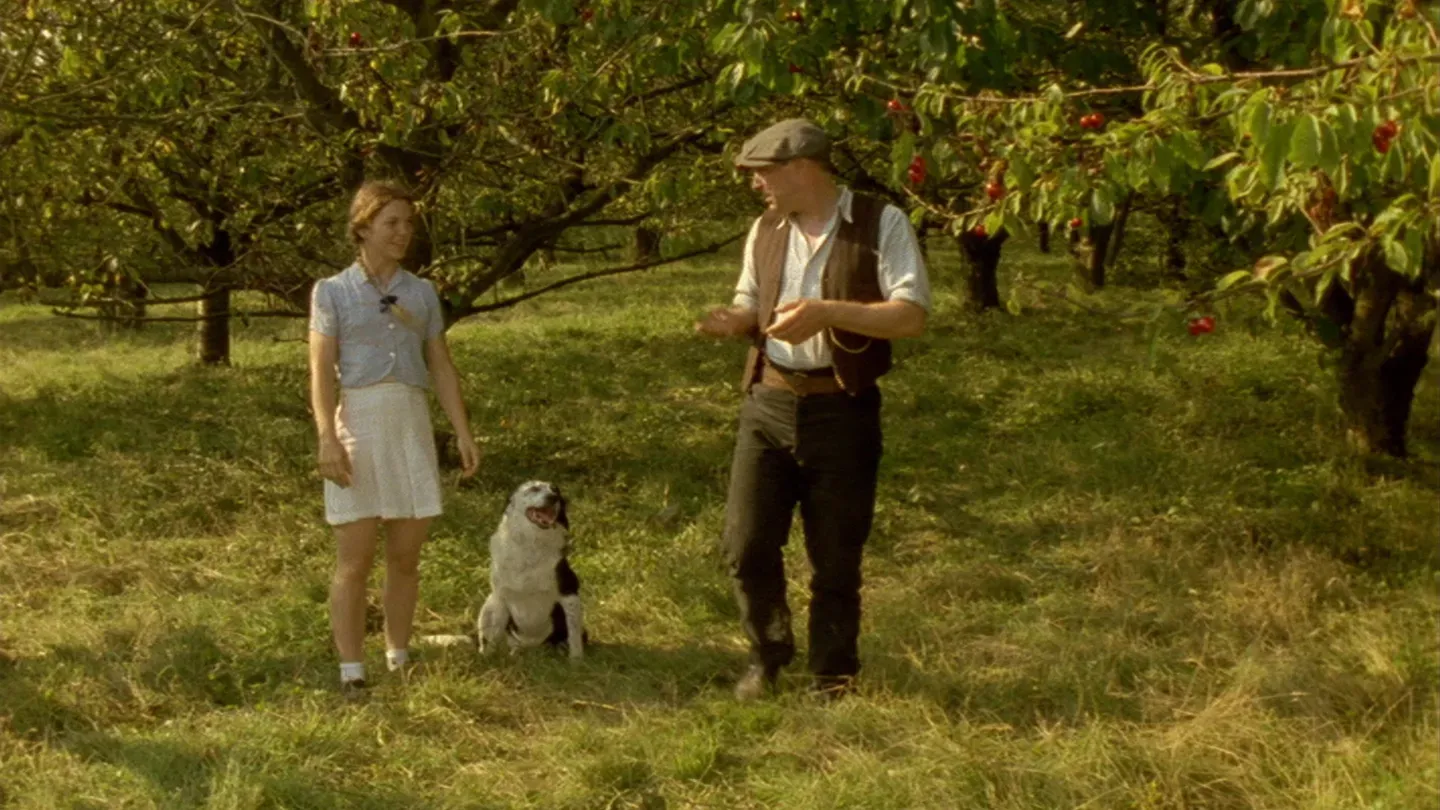 The Orchard Walls