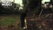 Youth Gardening