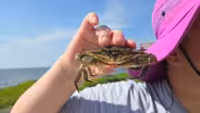 Teachers get to see climate-change research up close