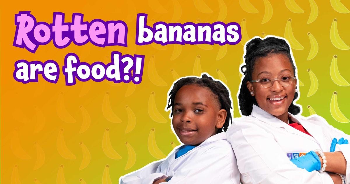 Mini Fab Science Lab | The Rotten Banana | PBS