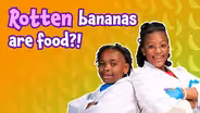 The Rotten Banana