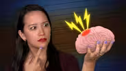What Brain Damage Reveals About Language