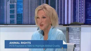 PETA Founder on What Shaped Her Beliefs