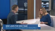 New Illinois Laws Taking Effect in 2024