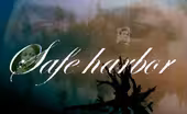 Safe Harbor