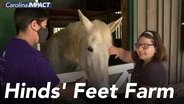 Hinds' Feet Farm