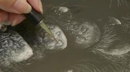 Video thumbnail: MUSE Ginger Gehres: Scratchboard Artist