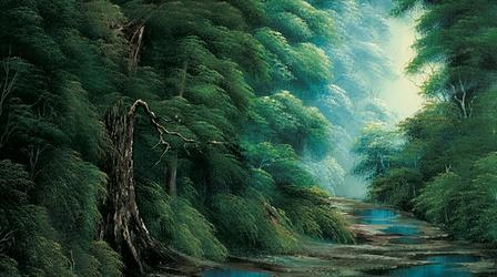 Video thumbnail: The Best of the Joy of Painting with Bob Ross After the Rain