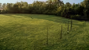 Cahokia’s Celestial Calendar (Woodhenge)