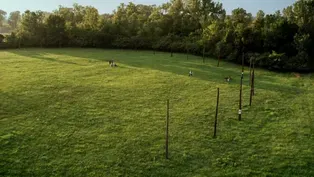 Cahokia’s Celestial Calendar (Woodhenge)