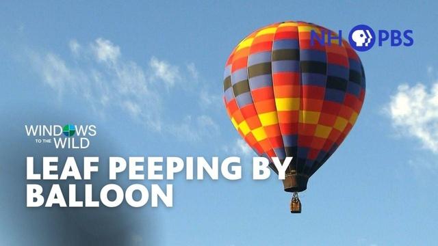 Leaf Peeping By Balloon