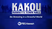 De-Stressing in a Stressful World