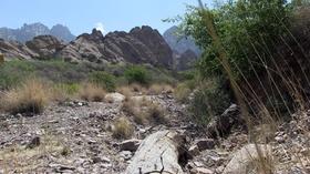 Video thumbnail: KRWG Newsmakers Newsmakers 1102 - Best of Living Here State Parks