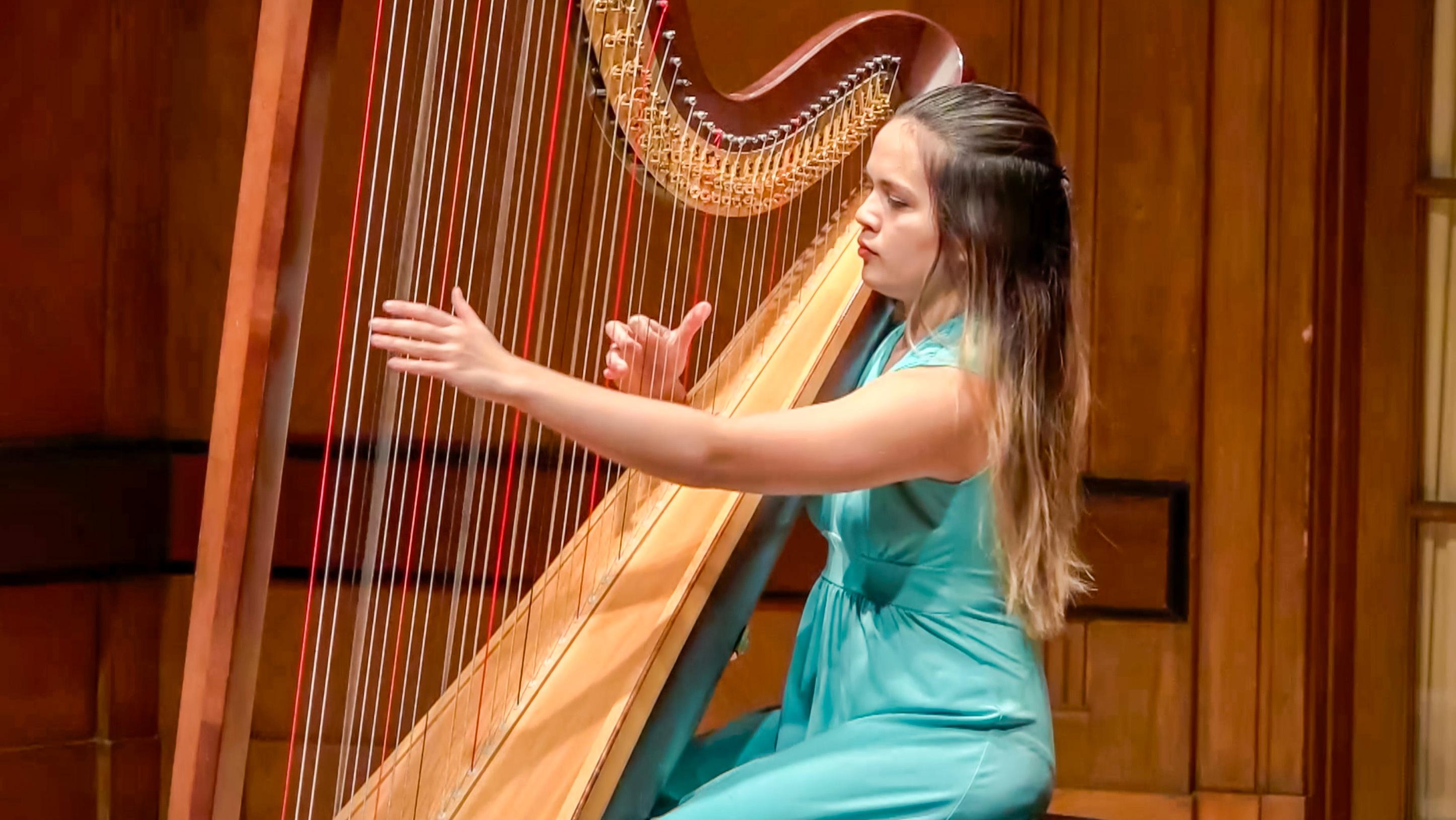 How Joanna Newsom made the harp hip, Folk music