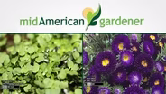 Mid-American Gardener with Sandy Mason February 22, 2018