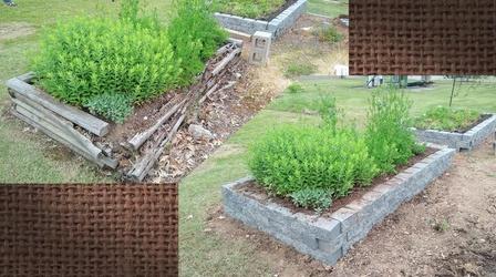 Video thumbnail: The Family Plot Replacing Wooden Raised Beds & Planting Myths