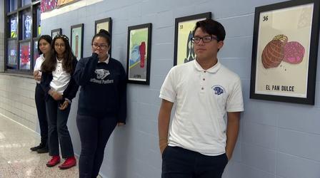 Video thumbnail: Chicago Tonight Free Art Collections at CPS Based on Subscription Model