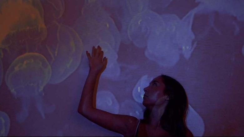 PBS Short Film Festival Image