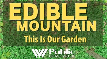 Video thumbnail: Edible Mountain This Is Our Garden