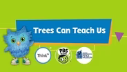 Trees Can Teach Us