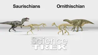 Dinosaurs: Hips