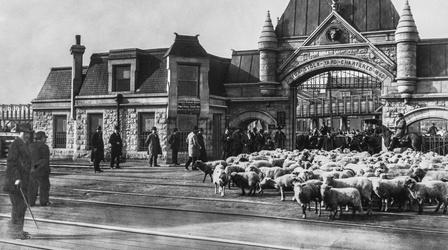 Video thumbnail: Chicago Stories Chicago Stories: The Union Stockyards