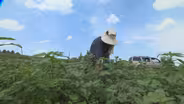 Village Agriculture