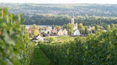 Wine First | Mosel Valley
