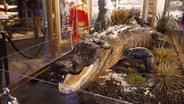 Inside Miccosukee Culture & History