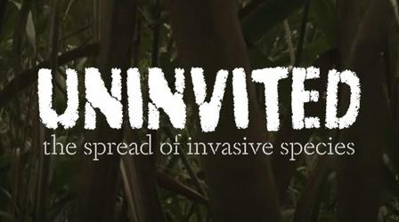Video thumbnail: WMHT Specials Uninvited: The Spread of Invasive Species